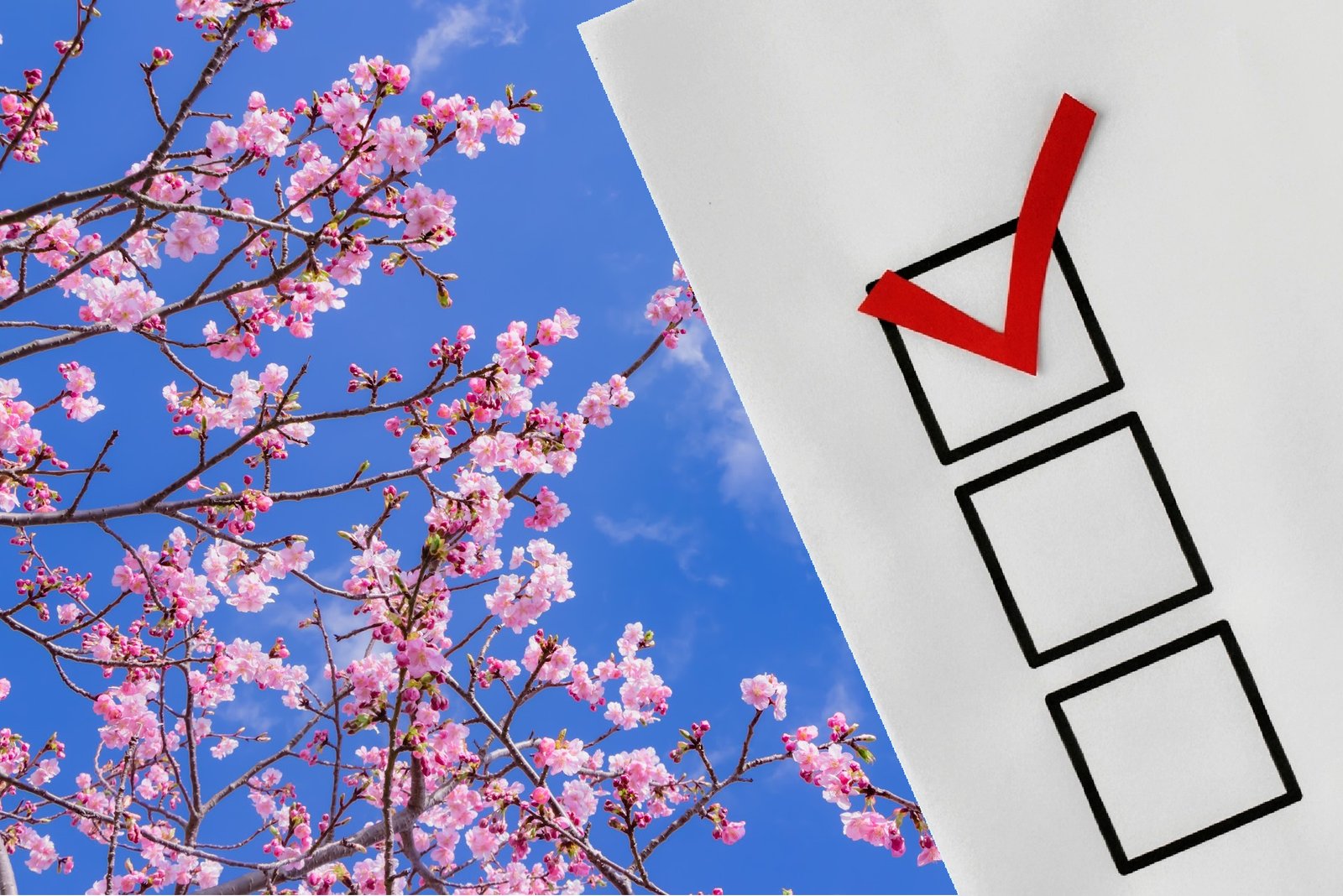 Pink spring blossoms beside a checklist with a red check mark against a bright blue sky